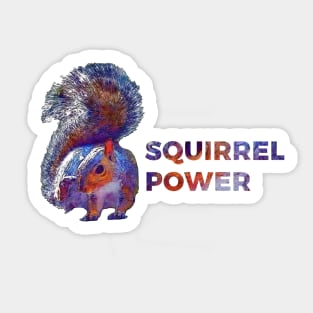 Squirrel Power Sticker